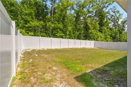 New construction Single-Family house 11143 Se 69Th Terrace, Belleview, FL 34420 - photo 17 17