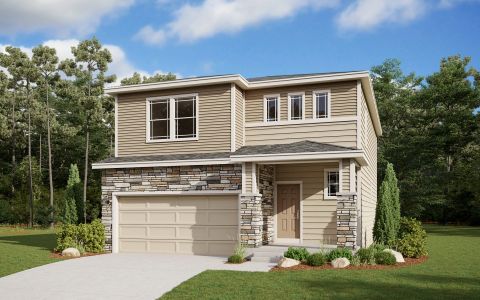 Mountain Brook by Dream Finders Homes in Longmont - photo 3 3