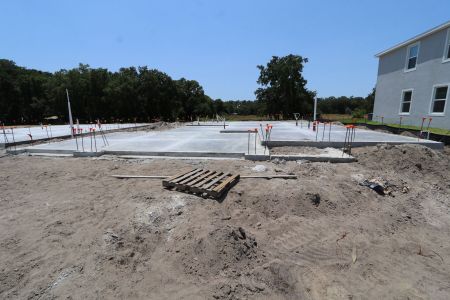 New construction Single-Family house 9635 Crescent Ray Drive, Wesley Chapel, FL 33545 Mira Lago- photo 17 17