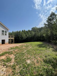 New construction Single-Family house 20 Morning Dew Way, Spring Hope, NC 27882 - photo 3 3