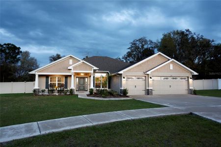 New construction Single-Family house 256 Sable Knoll Court, Spring Hill, FL 34609 - photo 0