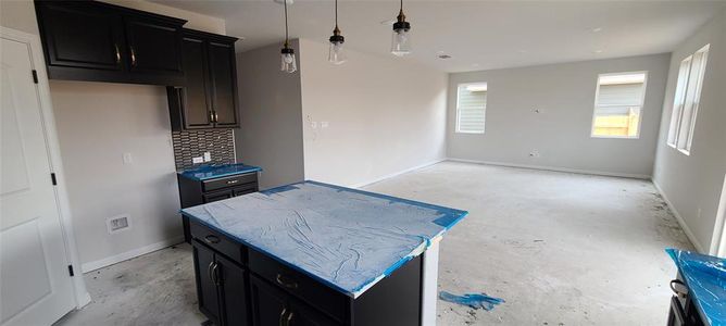 New construction Single-Family house 509 Palo Brea Loop, Hutto, TX 78634 Wyatt Homeplan- photo 2 2