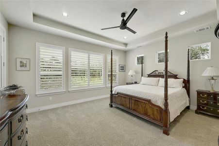 New construction Single-Family house 216 Lipizzan Ln, Driftwood, TX 78619 - photo 16 16