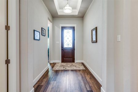 Foyer with a raised ceiling and dark wood-type flooring