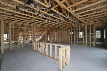 New construction Single-Family house 7783 Notched Pine Bend, Wesley Chapel, FL 33545 Corina II Bonus- photo 23 23