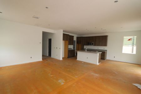 New construction Single-Family house 2463 Sunny Pebble Loop, Zephyrhills, FL 33540 Castellana- photo 98 98