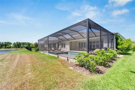 New construction Single-Family house 5995 Golden Nettle Drive, Apollo Beach, FL 33572 - photo 70 70