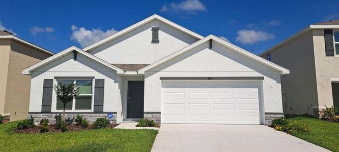 New construction Single-Family house 3173 Silver Date Drive, Wimauma, FL 33598 - photo 0