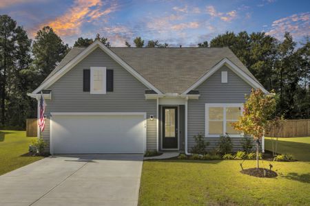 New construction Single-Family house 1190 Wading Point Boulevard, Huger, SC 29450 - photo 0