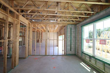 New construction Single-Family house 10634 New Morning Drive, Tampa, FL 33647 Grandshore II- photo 21 21