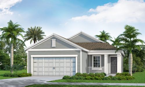 New construction Single-Family house 10025 Hammock Brook Drive, Parrish, FL 34219 - photo 1 1