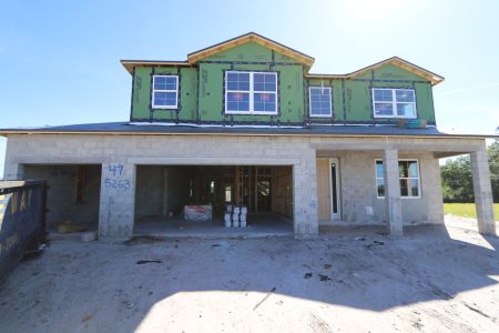 New construction Single-Family house 5263 Peony Court, Lakeland, FL 33811 Mira Lago- photo 7 7