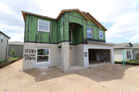 New construction Single-Family house 12383 Hilltop Farms Drive, Dade City, FL 33525 Malibu- photo 48 48
