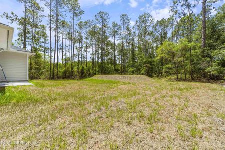 New construction Single-Family house 4265 Vicki Street, Hastings, FL 32145 - photo 36 36