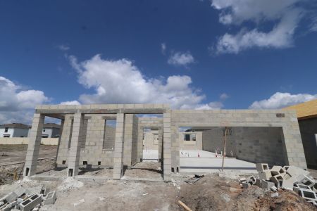 New construction Single-Family house 31835 Sapna Chime Drive, Wesley Chapel, FL 33545 Salinas- photo 6 6