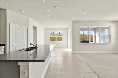New construction Single-Family house 15936 Winding Bluff Drive, Montverde, FL 34756 - photo 12 12