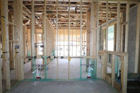New construction Single-Family house 7783 Notched Pine Bend, Wesley Chapel, FL 33545 Corina II Bonus- photo 30 30