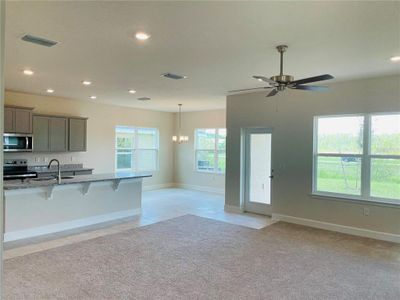 New construction Single-Family house 4385 Sagefield Drive, Harmony, FL 34773 - photo 3 3