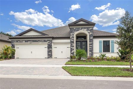 New construction Single-Family house 13211 Twin Bridges Drive, Riverview, FL 33579 - photo 0