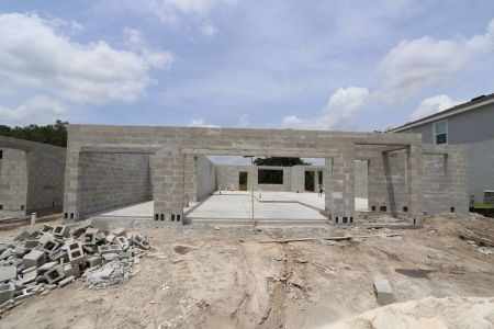 New construction Single-Family house 9635 Crescent Ray Drive, Wesley Chapel, FL 33545 Mira Lago- photo 18 18