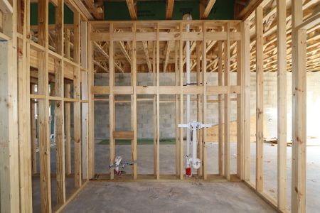New construction Single-Family house 2522 Sunny Pebble Loop, Zephyrhills, FL 33540 Mira Lago- photo 39 39