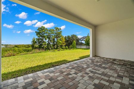 New construction Single-Family house 8834 Sanders Tree Loop, Wesley Chapel, FL 33545 Sabal III- photo 38 38