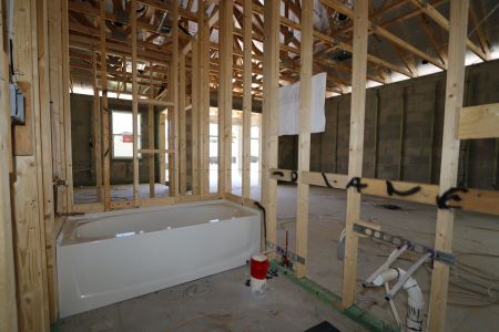 New construction Single-Family house 33224 Amling Pecan Branch, Wesley Chapel, FL 33545 Newport II- photo 11 11