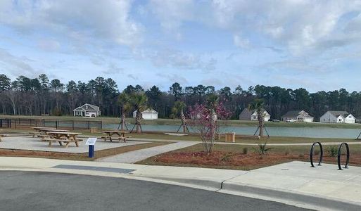 New construction Single-Family house 104 Wild Orchid Way, Huger, SC 29450 - photo 31 31