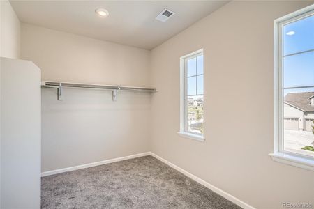 New construction Single-Family house 1900 Merrill Circle W, Erie, CO 80516 Wellesley- photo 18 18