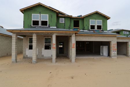 New construction Single-Family house 2486 Clary Sage Drive, Spring Hill, FL 34609 Santa Monica- photo 44 44