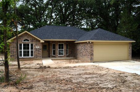 New construction Single-Family house 188 Armada Loop, Payne Springs, TX 75156 - photo 21 21