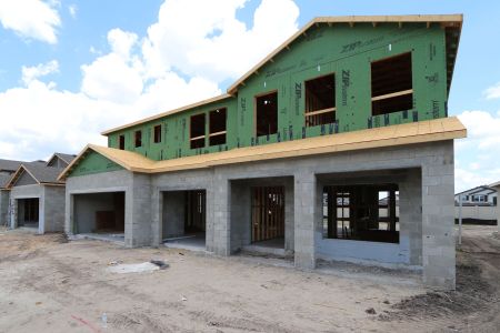 New construction Single-Family house 32556 Sapna Chime Drive, Wesley Chapel, FL 33545 Dali- photo 16 16