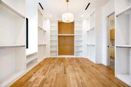 Spacious closet featuring light hardwood / wood-style flooring