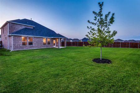 View of yard at dusk