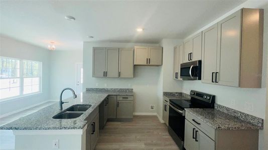 New construction Single-Family house 900 Ne 150Th Court, Williston, FL 32696 - photo 7 7