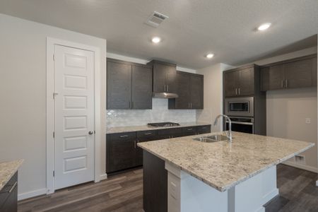 New construction Single-Family house Pleasanton, Avignon Forest Rd, San Antonio, TX 78255 - photo