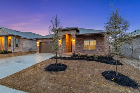 New construction Single-Family house 16020 Bronte Lane, Fort Worth, TX 76247 - photo 47 47