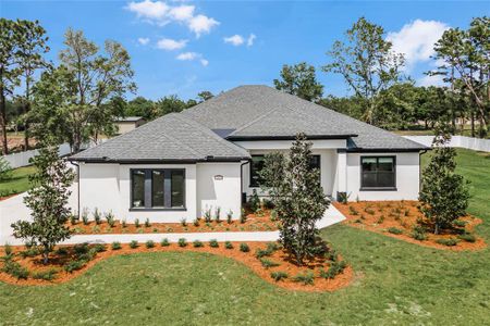 New construction Single-Family house Magnolia Creek Lane, Montverde, FL 34756 - photo 0