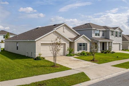 New construction Single-Family house 3900 Autumn Amber Drive, Spring Hill, FL 34609 - photo 0