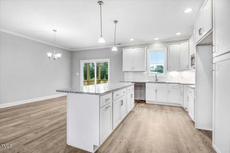 New construction Single-Family house 9100 Raccoon Drive, Middlesex, NC 27557 - photo 16 16