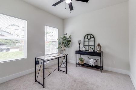 Office space featuring ceiling fan, a wealth of natural light, and light colored carpet