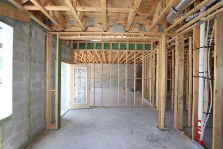 New construction Single-Family house 9635 Crescent Ray Drive, Wesley Chapel, FL 33545 Mira Lago- photo 26 26