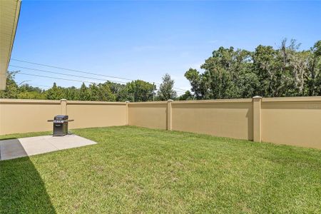 New construction Single-Family house 3537 Jolene Place, The Villages, FL 32163 - photo 13 13