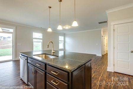 New construction Single-Family house 1465 Ardmore Drive, Unit 237, Sherrills Ford, NC 28673 - photo 9 9
