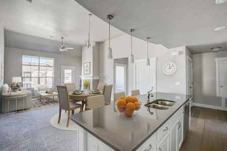 New construction Multi-Family house Cambridge 2, 827 Schlagel Street, Fort Collins, CO 80524 - photo