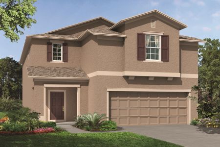 New construction Single-Family house Castellana, 4814 Foxglove Circle, Lakeland, FL 33811 - photo