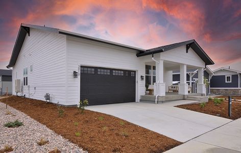 New construction Single-Family house 1810 Morningstar Way, Fort Collins, CO 80524 Harbor- photo