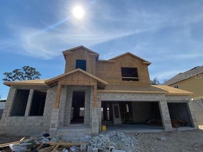 New construction Single-Family house 1516 Gopher Loop, Tarpon Springs, FL 34689 The Welwood- photo