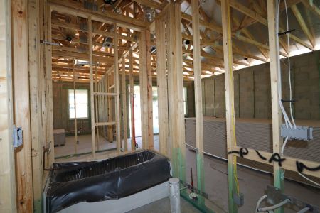New construction Single-Family house 31843 Sapna Chime Drive, Wesley Chapel, FL 33545 Picasso- photo 60 60