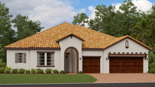 New construction Single-Family house 16910 Scuba Crest St, Wimauma, FL 33598 - photo 0 0